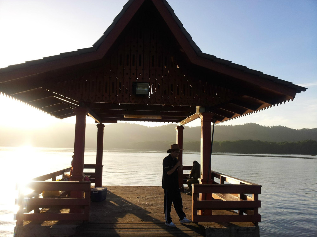 Kampong Ayer - Venice of East景点图片