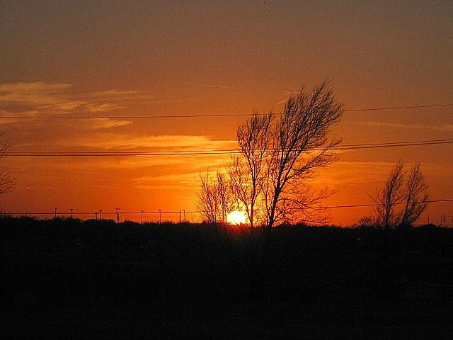 Tascosa Drive-In-阿马里洛必去景点