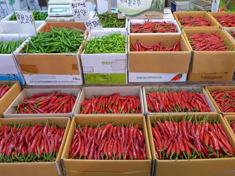 京东市场-首尔必去景点