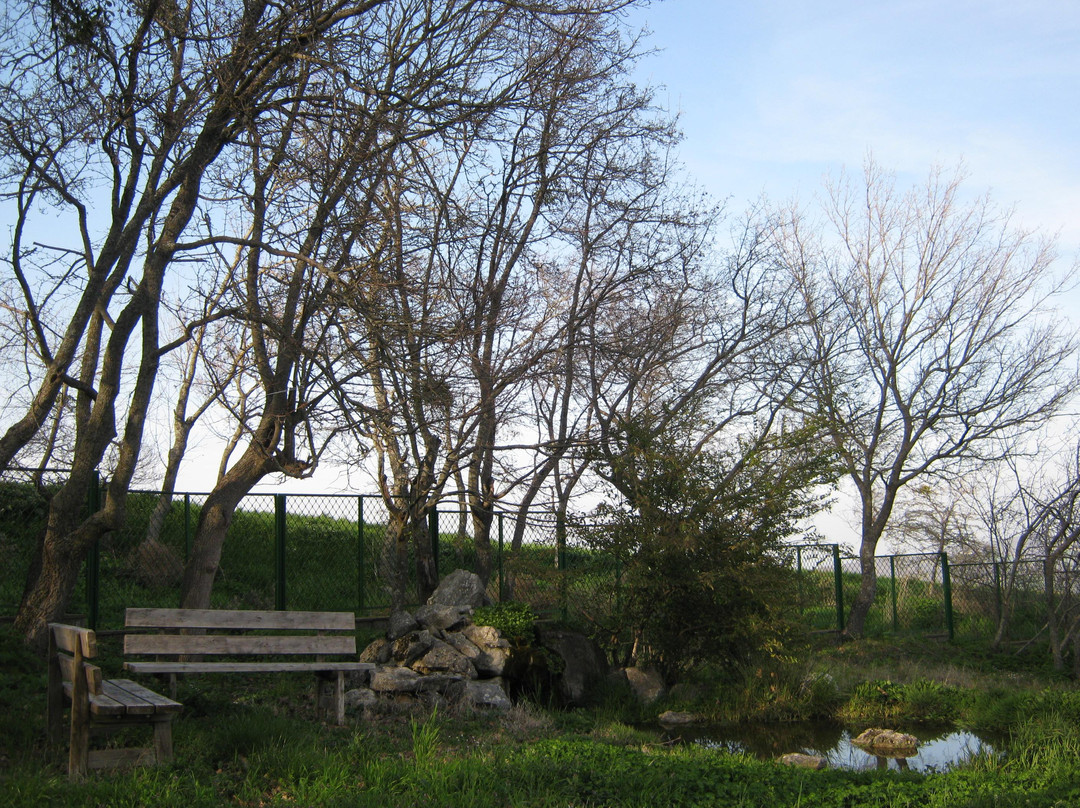 Museo delle Antiche Genti di Lucania景点图片