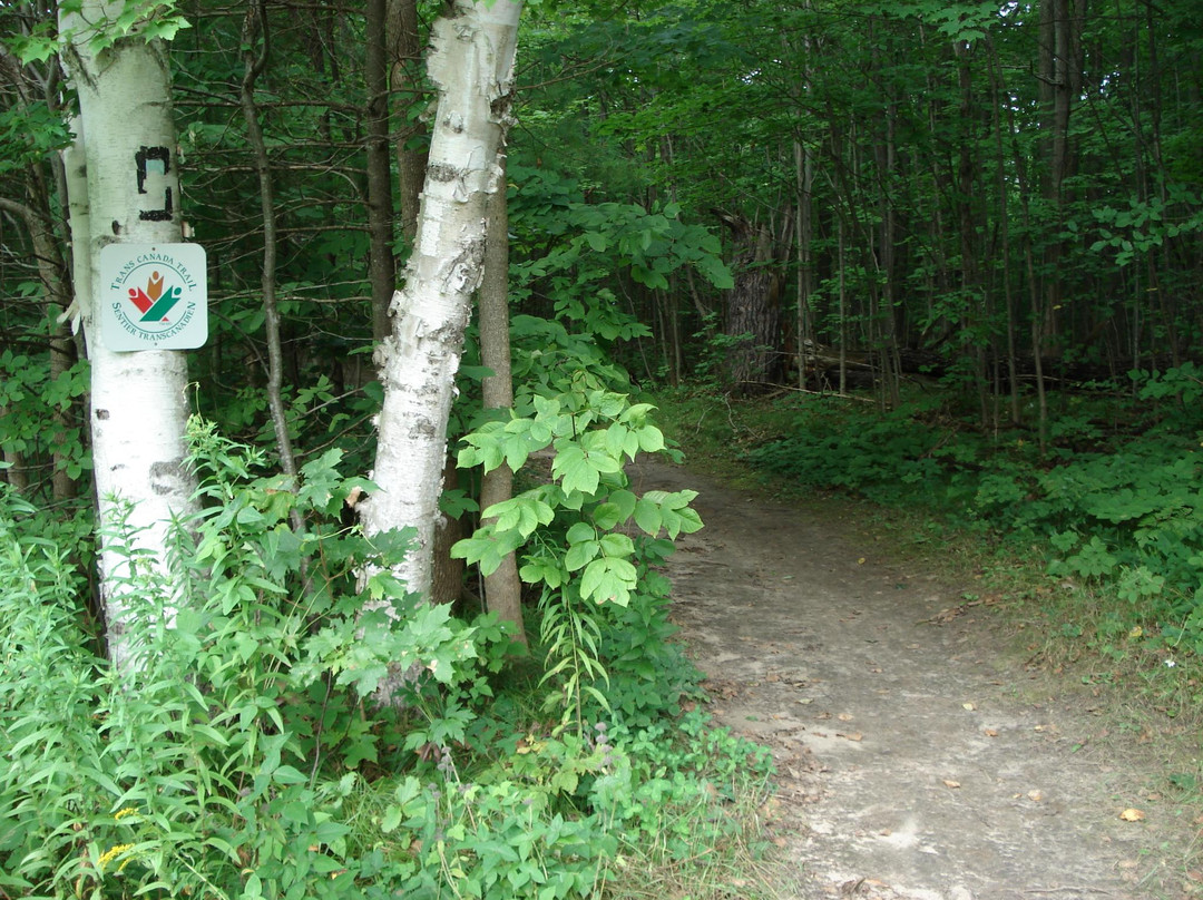 Glen Major Forest & Walker Woods景点图片