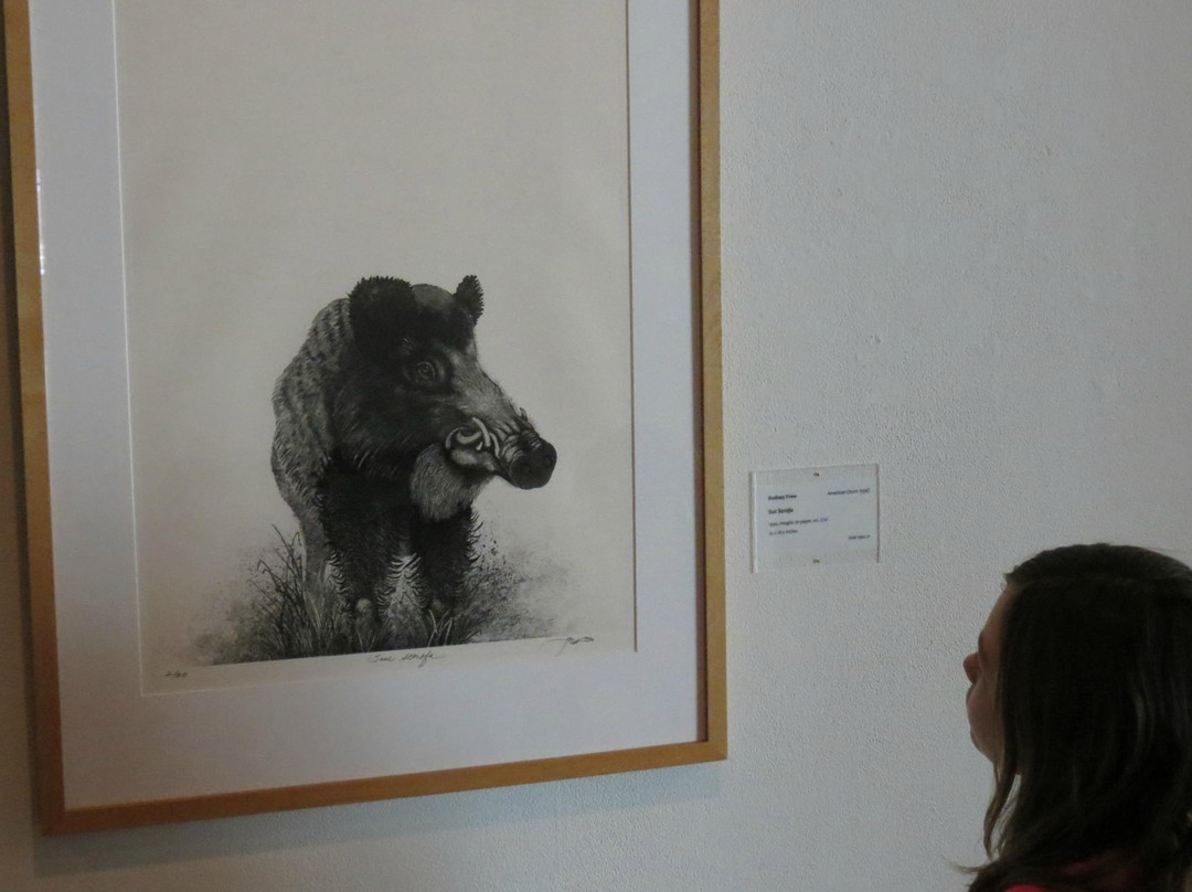 Springfield Art Museum-斯普林菲尔德必去景点