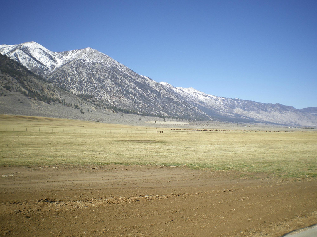 Dangberg Home Ranch Historic Park-Minden必去景点