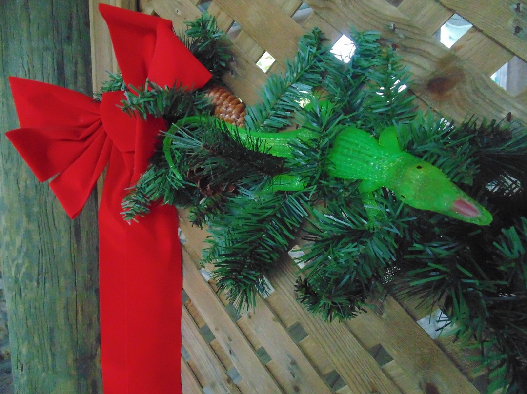 鳄鱼乐园-奥兰多必去景点