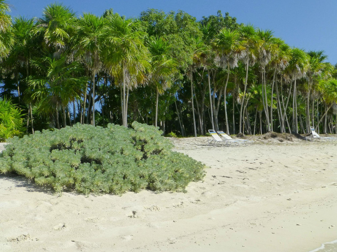 Punta Frances Marine National Park景点图片