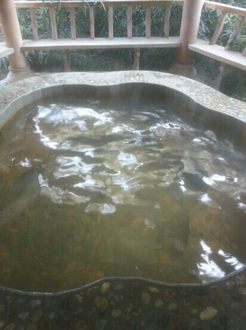 龙脉温泉度假村主图