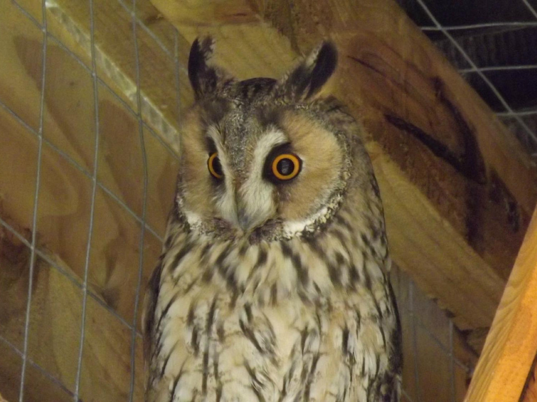 The Wolds Way Owl Trust-South Cave必去景点