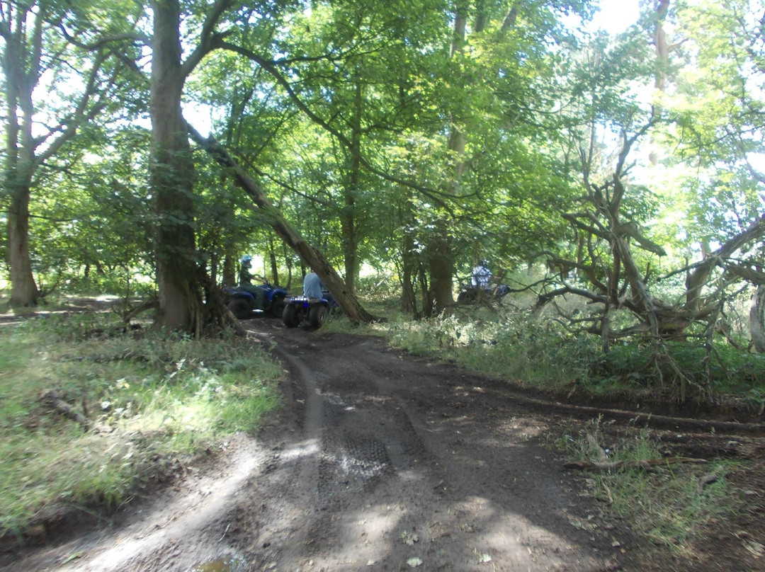 Barnham旅游景点-East Anglian Activities