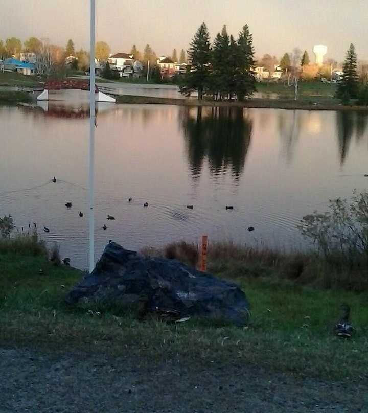 Commando Motel主图