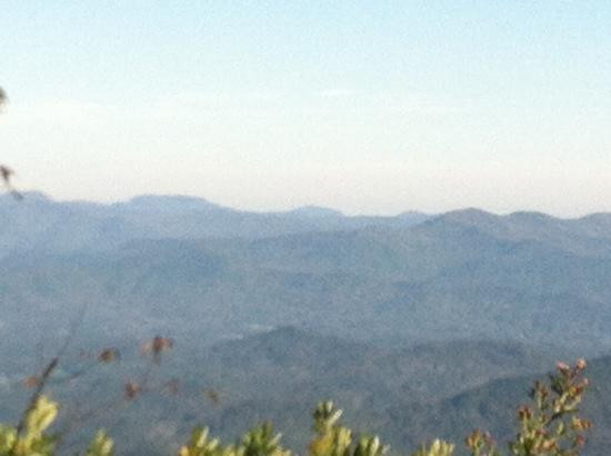 Wayah Bald Lookout Tower景点图片