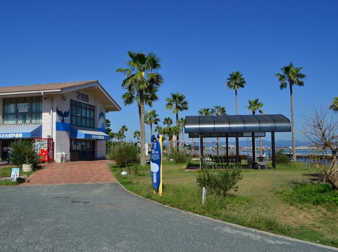 Arai Beach-湖西市必去景点