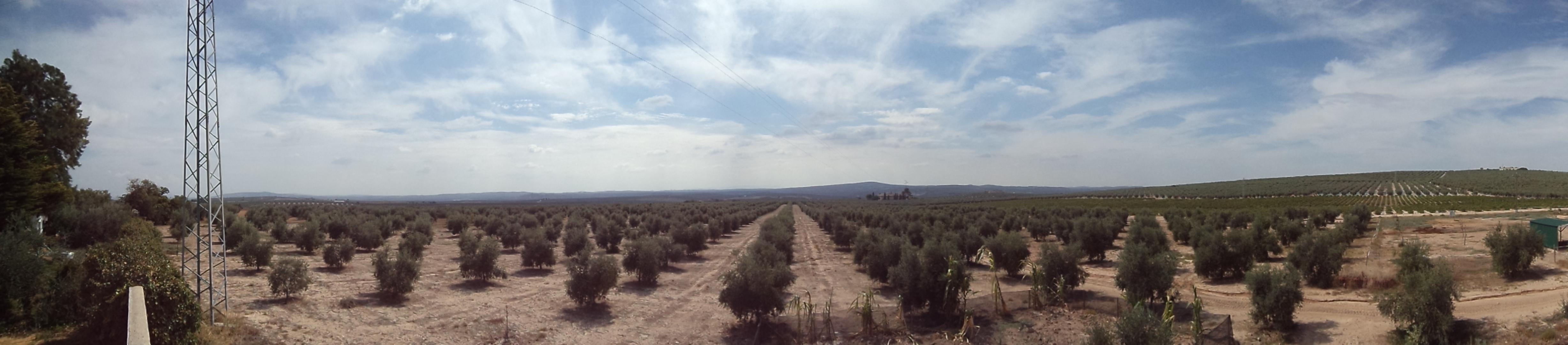 Hacienda La Vereda-客卧