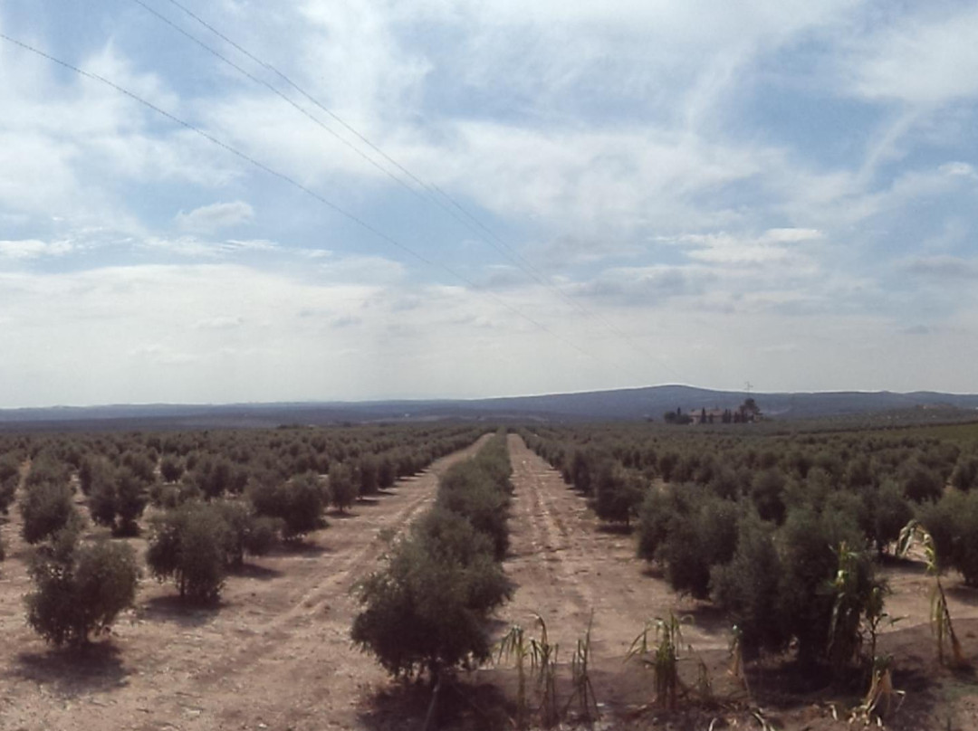 Hacienda La Vereda主图