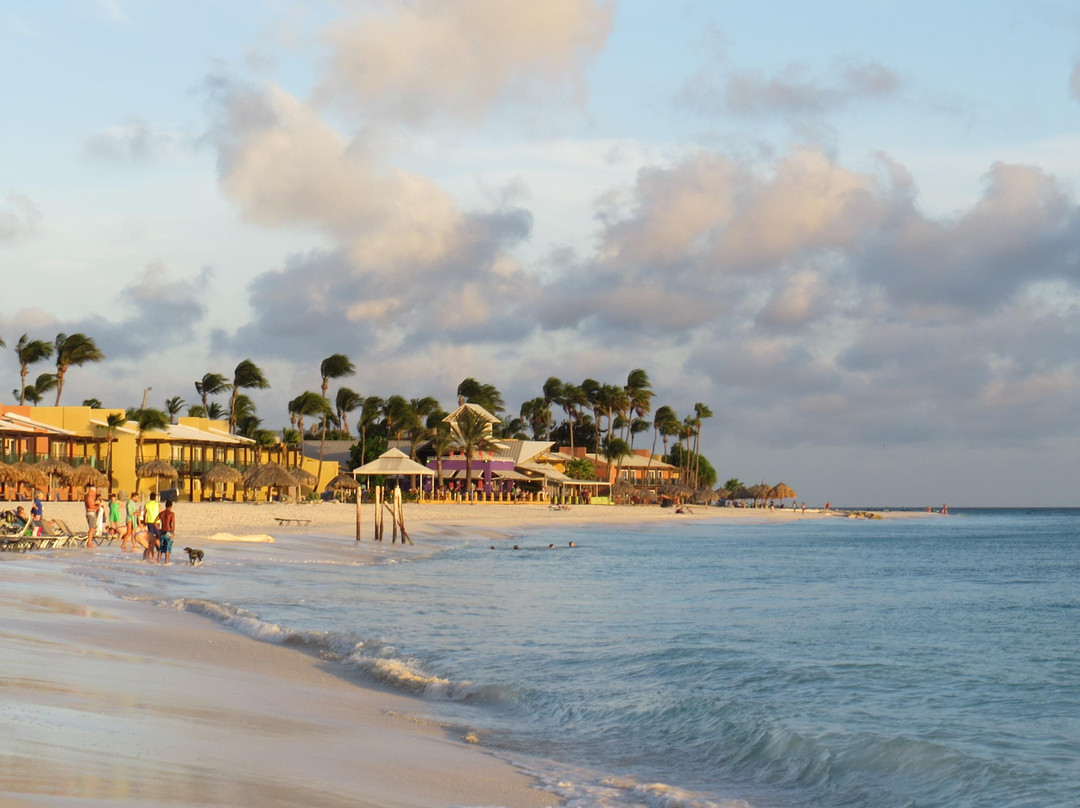 Druif Beach-奥腊涅斯塔德必去景点