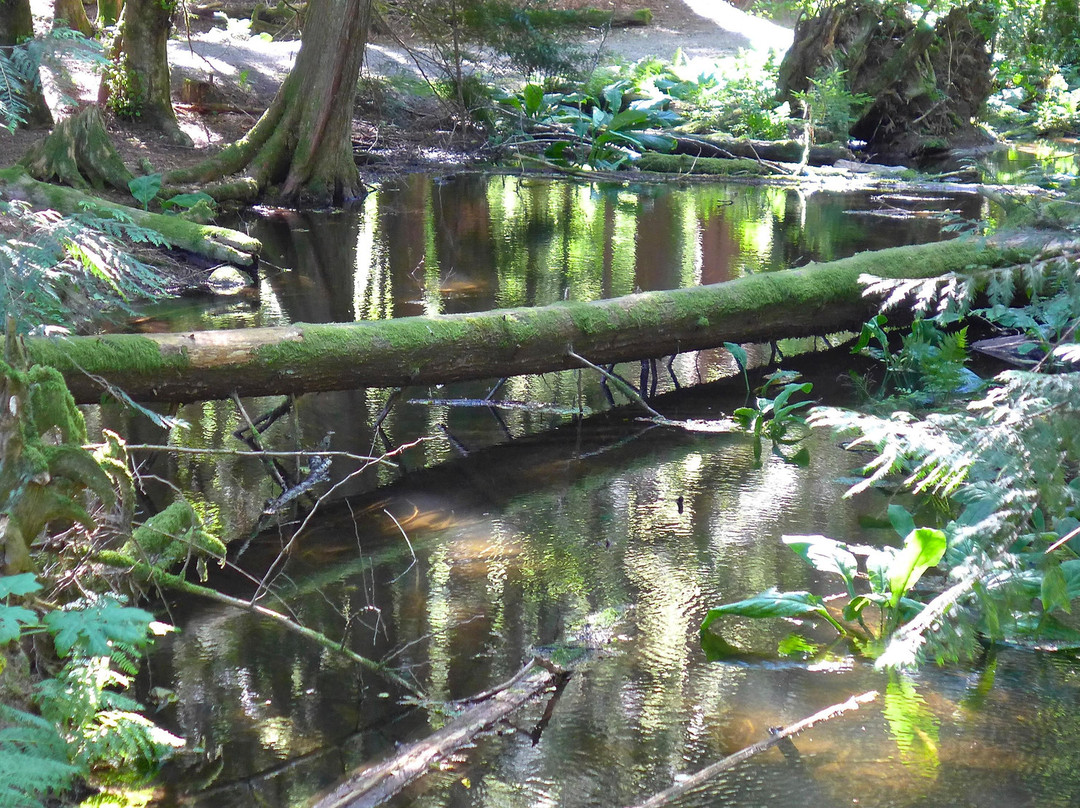 Alice Lake Provincial Park景点图片
