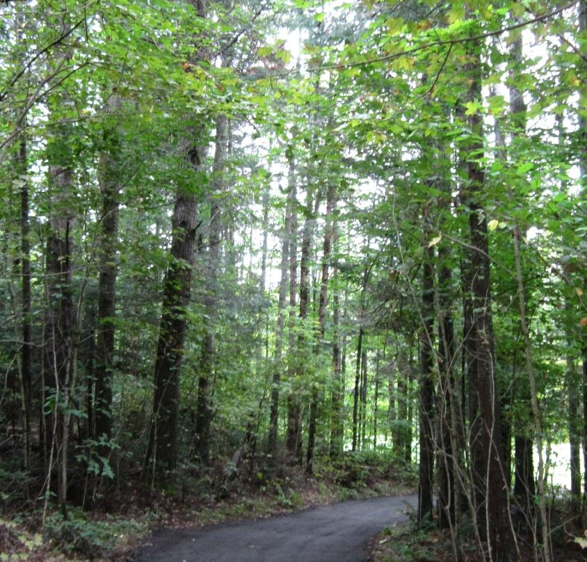 Craig Wood Golf Course-普莱西德湖必去景点