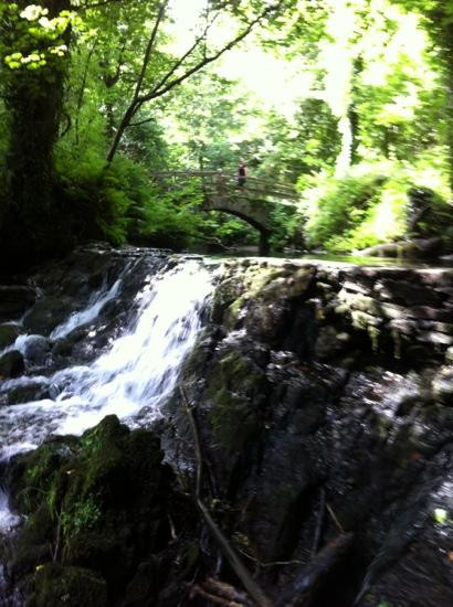 Dun A Ri Forest Park-Kingscourt必去景点