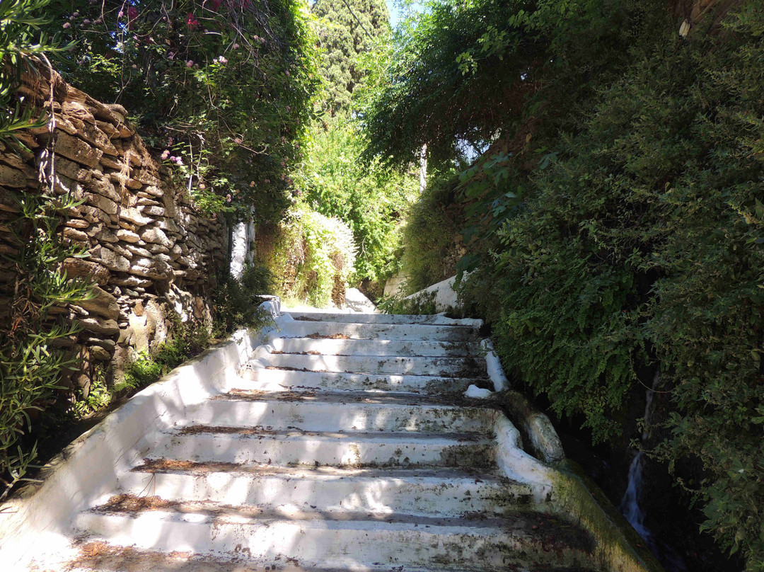 Village Path-Batsi必去景点
