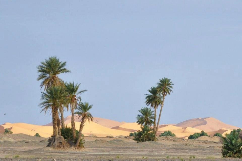 Sijilmassa-Rissani必去景点