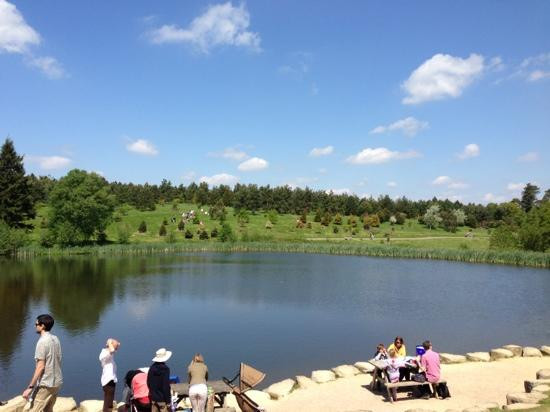 Bedgebury National Pinetum And Forest-Goudhurst必去景点