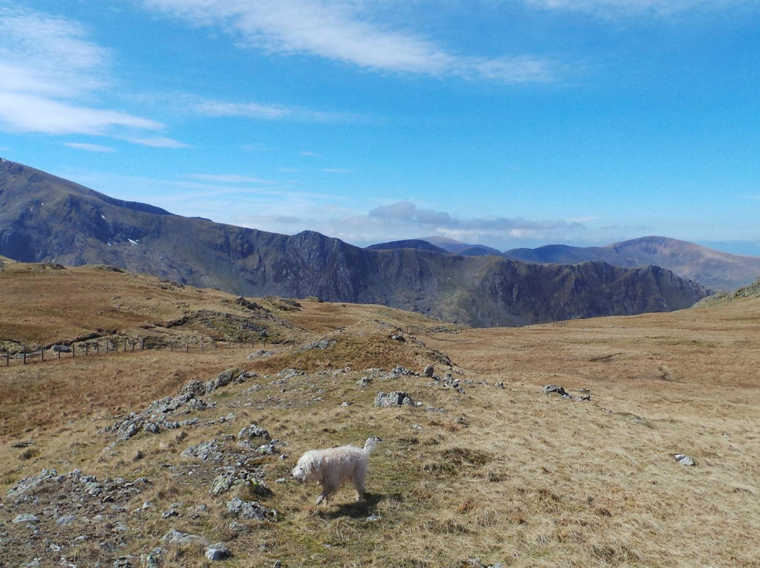 Y Garn-雪墩国家公园必去景点