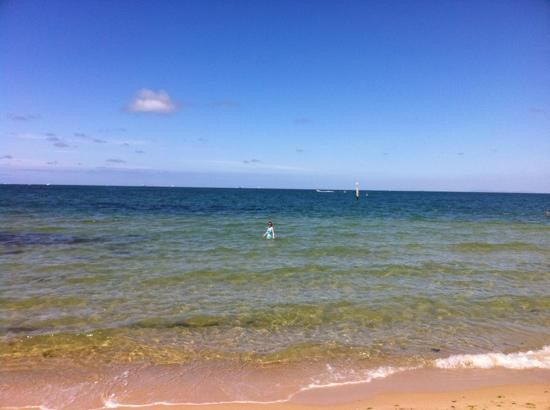 Elwood Beach景点图片