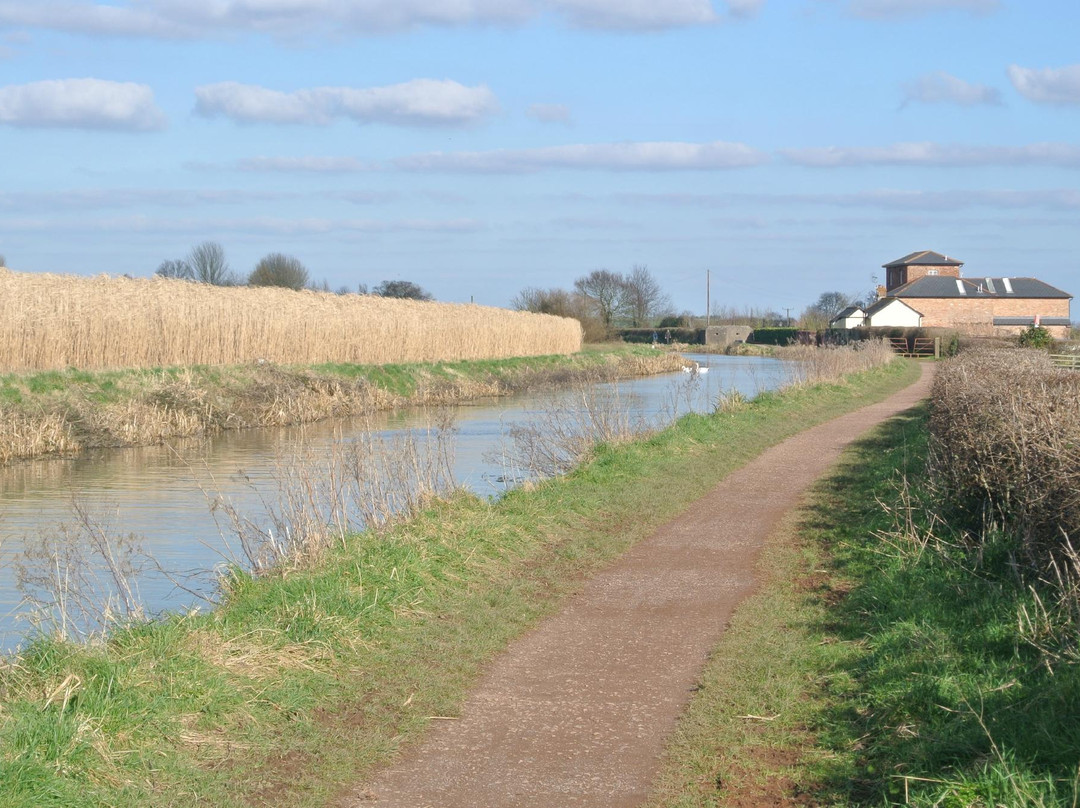 Somerset Towpath-汤顿必去景点