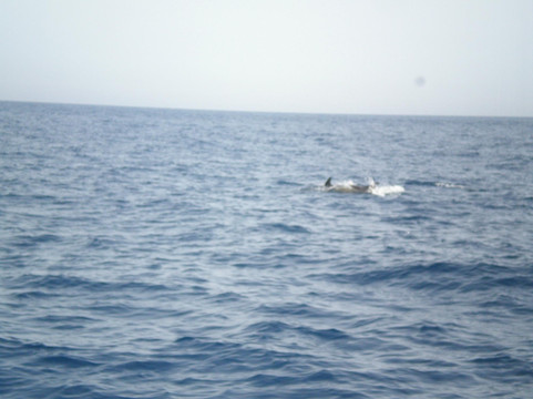 Black Runner-阿尔布赞拉必去景点