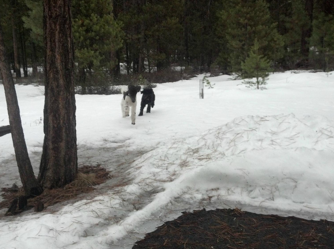 La Pine State Park-La Pine必去景点