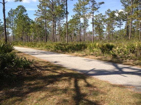 Jay B. Starkey Wilderness Park景点图片