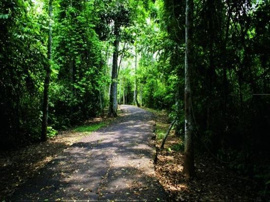 Parque Ambiental Chico Mendes景点图片
