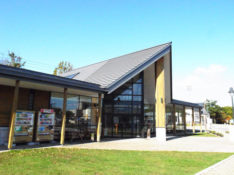 Onuma International Communication Plaza-龟田郡必去景点