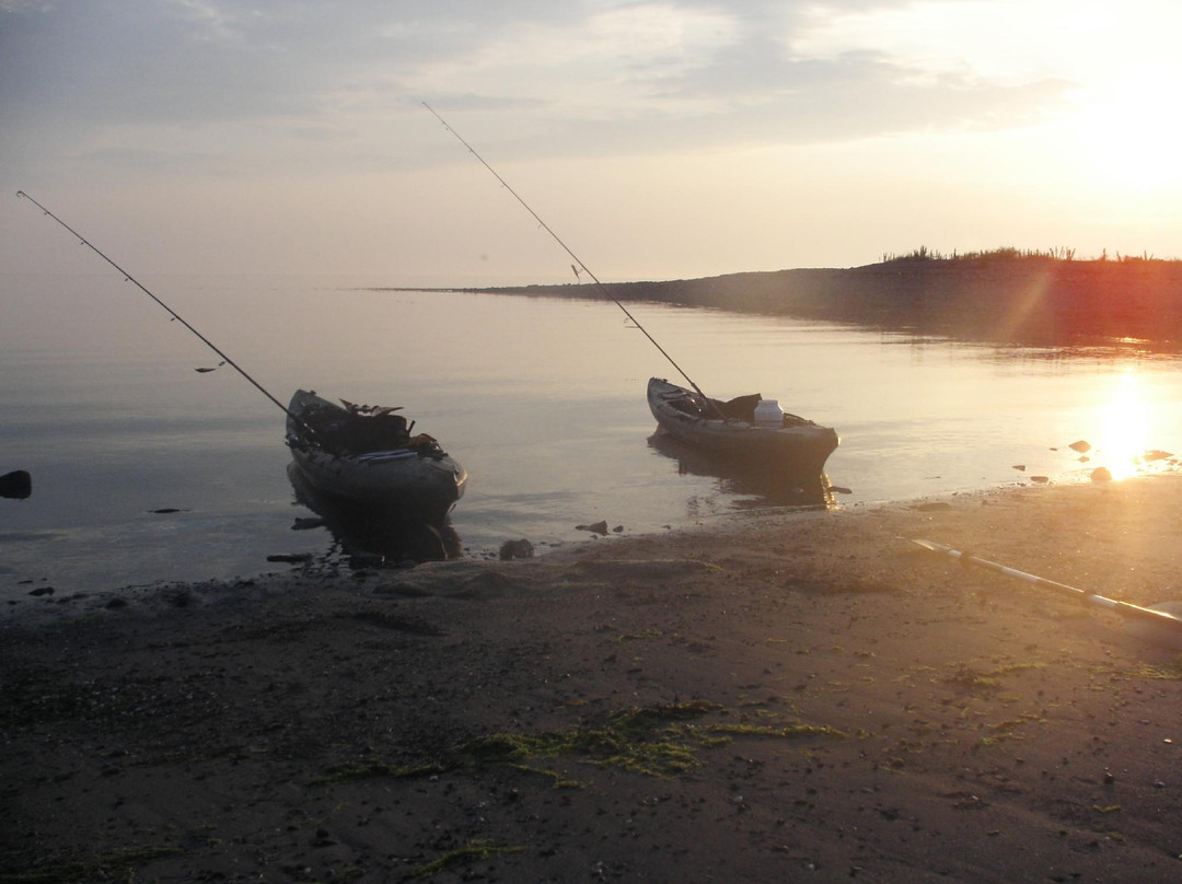 Studland Sea School景点图片