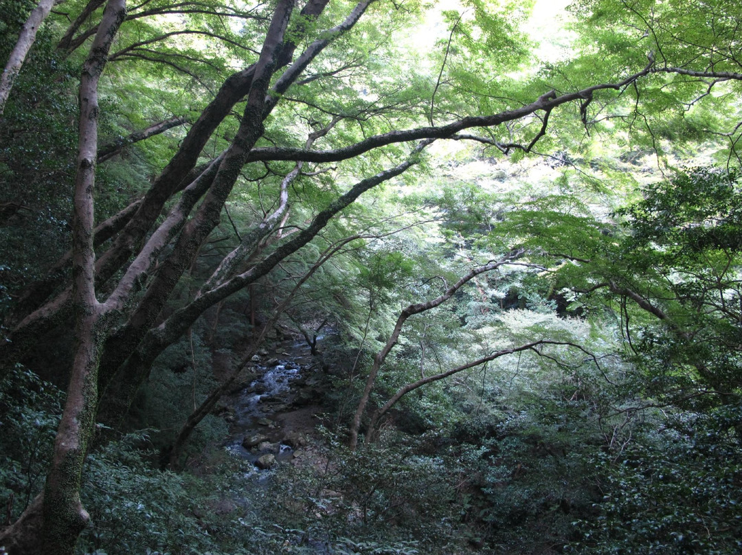 箕面公园-美浓市必去景点