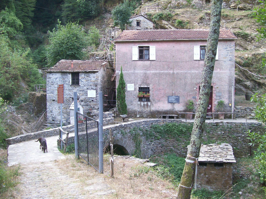 Museo della Civilta Contadina景点图片
