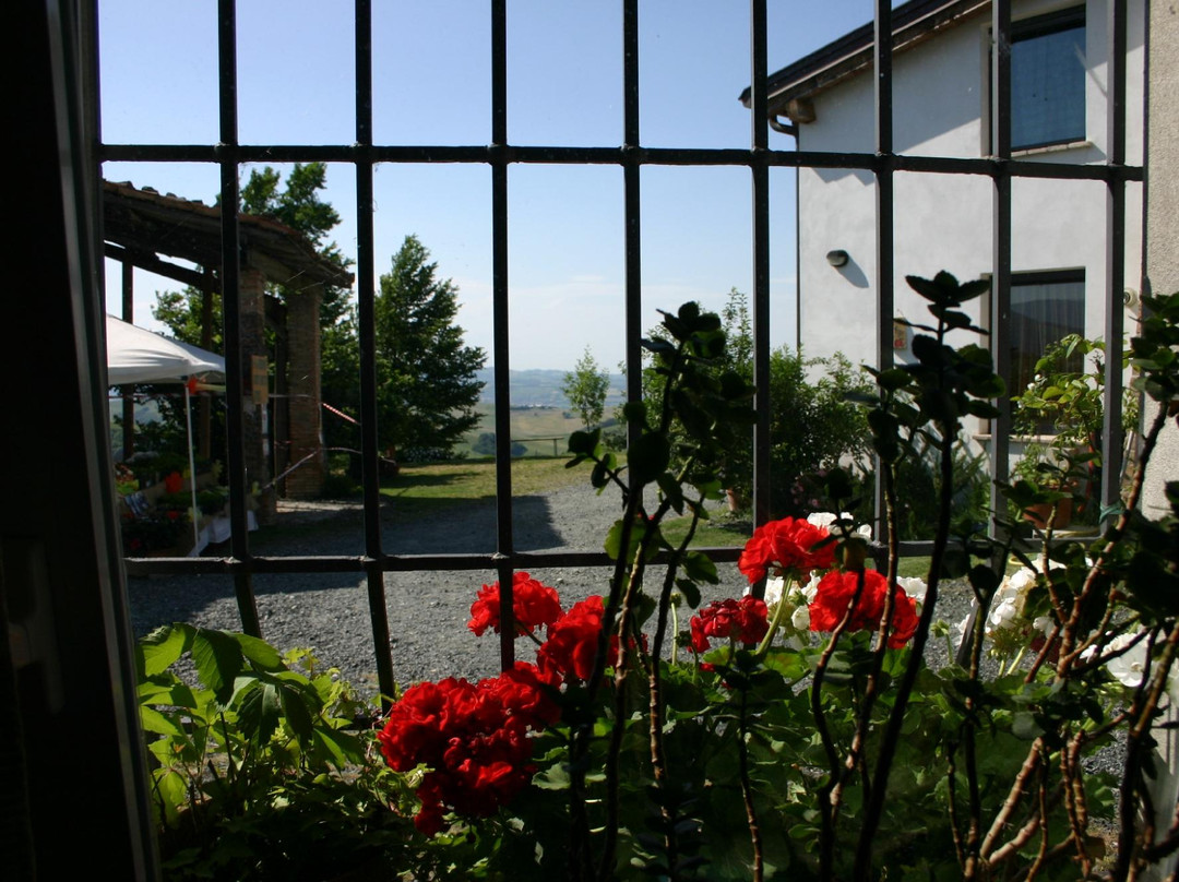 Bed & Breakfast Il Monte di Mara Dughetti主图