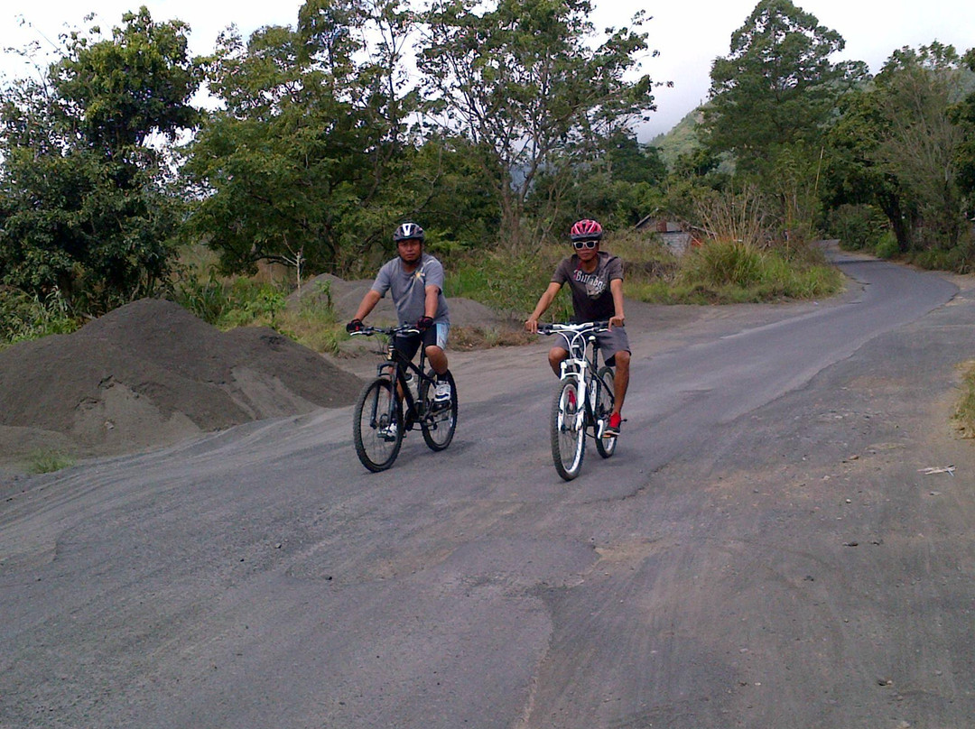 Bali Vacation Driver - Day Tours-登巴萨必去景点