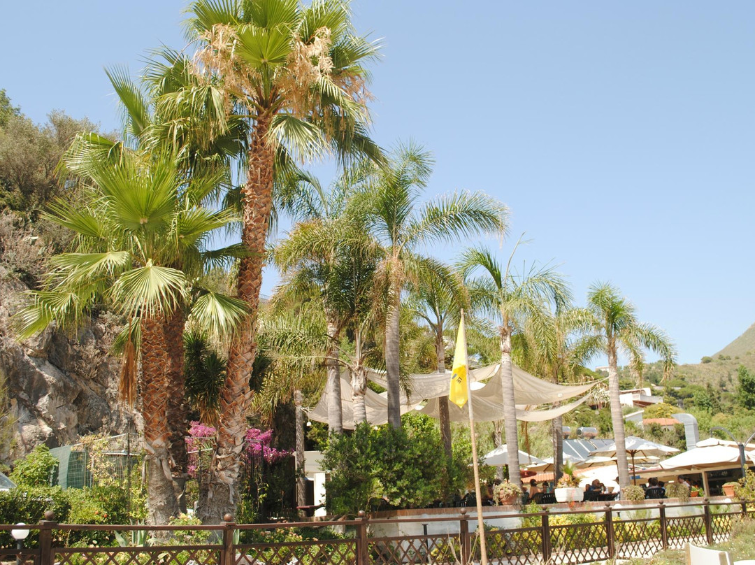 Lido Grotta dei Delfini景点图片