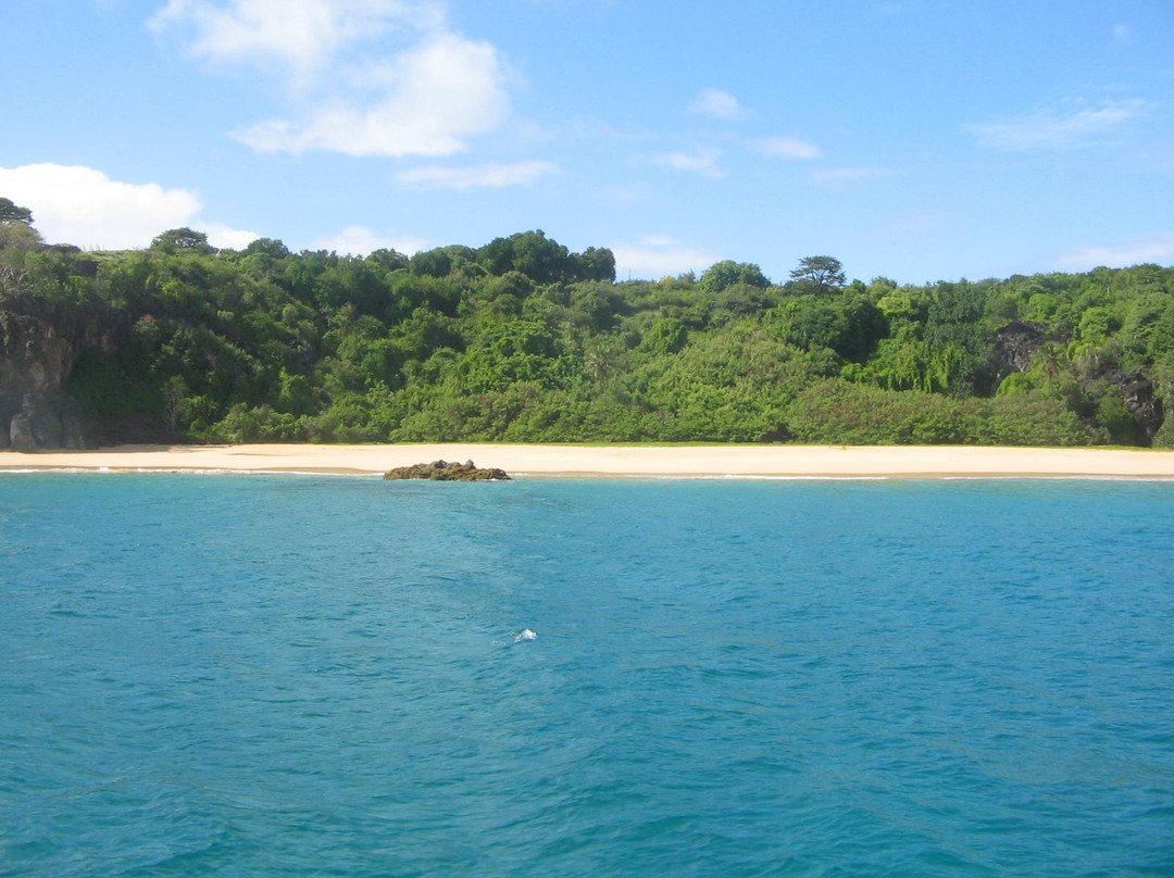 Praia do Bode-费尔南多-迪诺罗尼亚群岛必去景点