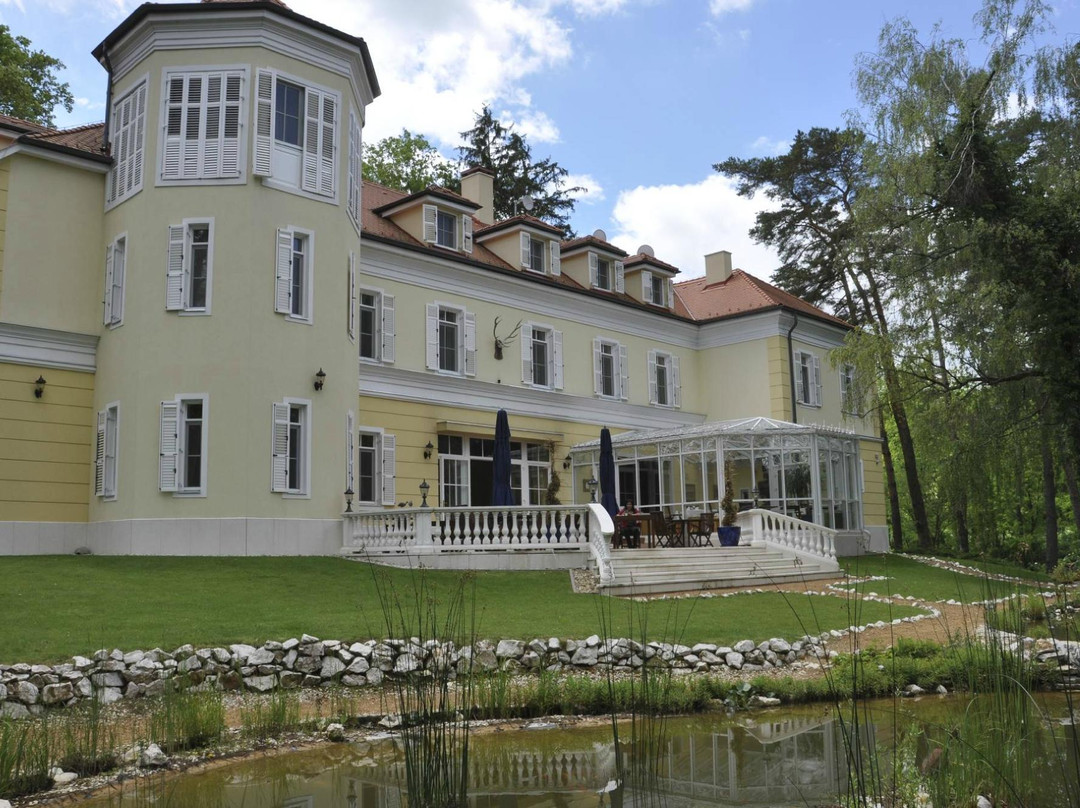Chateau Visz主图