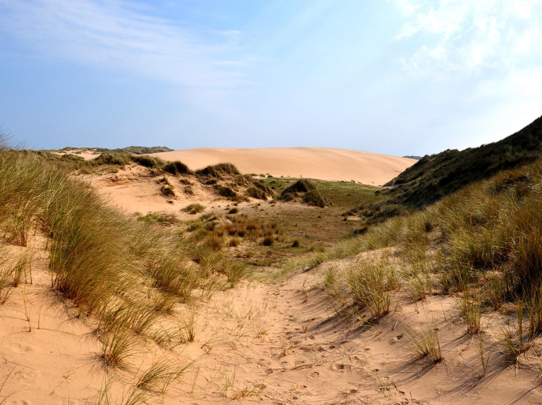 Forvie National Nature Reserve景点图片