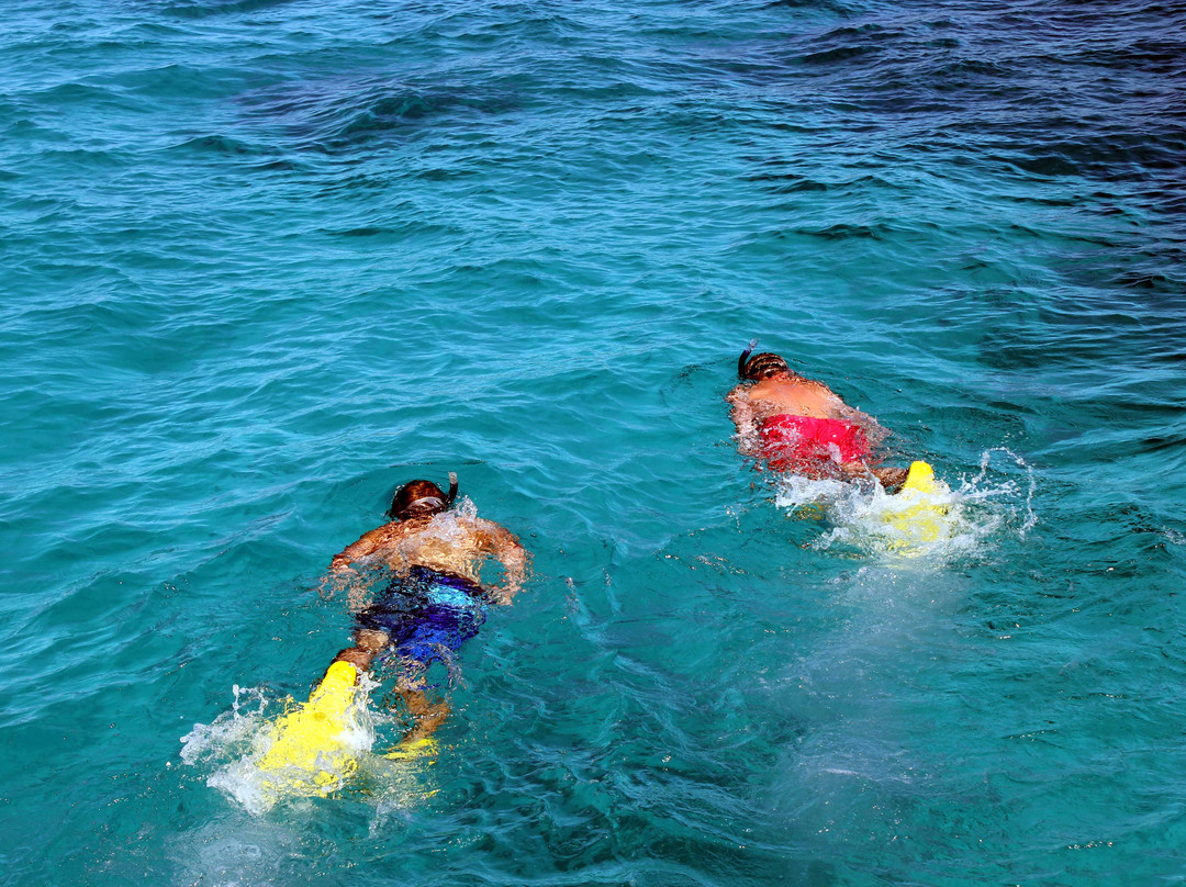 Lady Musgrave Cruises-1770镇必去景点