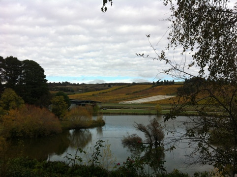 精品休闲之旅-朗塞斯顿必去景点