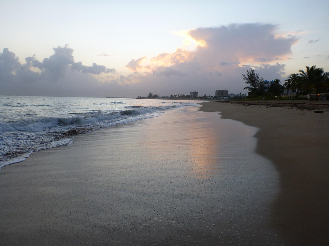 Playa Ocean Park景点图片