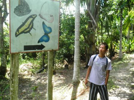 Pilpintuwasi - Wildlife Rescue Center And Butterfly Farm景点图片