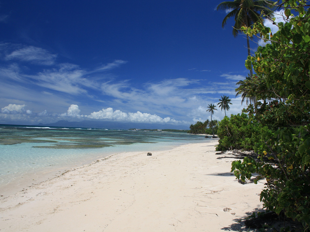 Plage de Bois Jolan景点图片