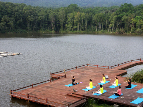 南京紫金山庄主图
