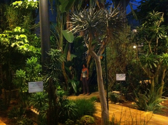 La Cutura Giardino botanico-Giuggianello必去景点