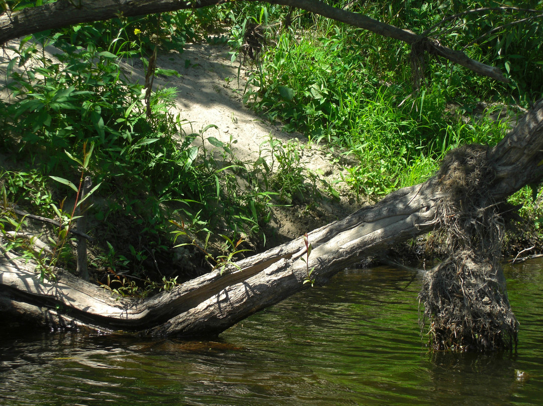 Kayak Safari-Huntingdon必去景点