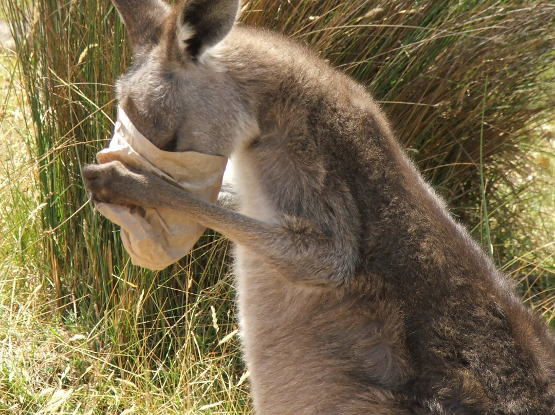 Mansfield Zoo-曼斯菲尔德必去景点